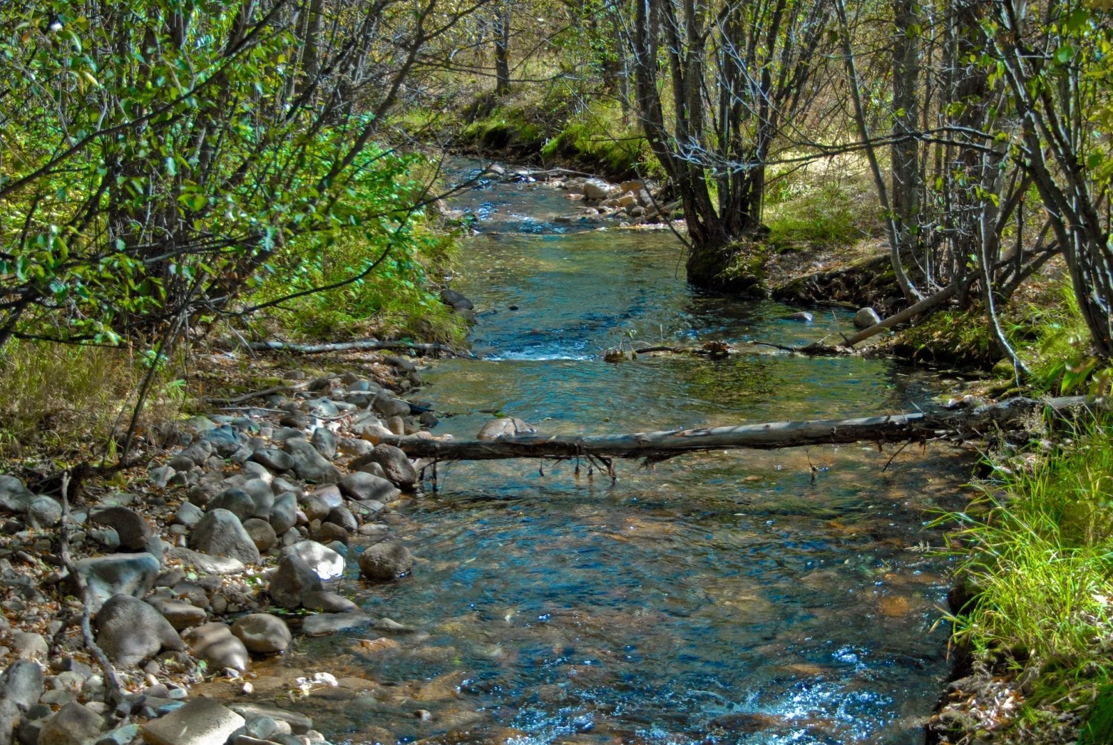 Jamestown, Colorado Things To Do and Events Boulder County