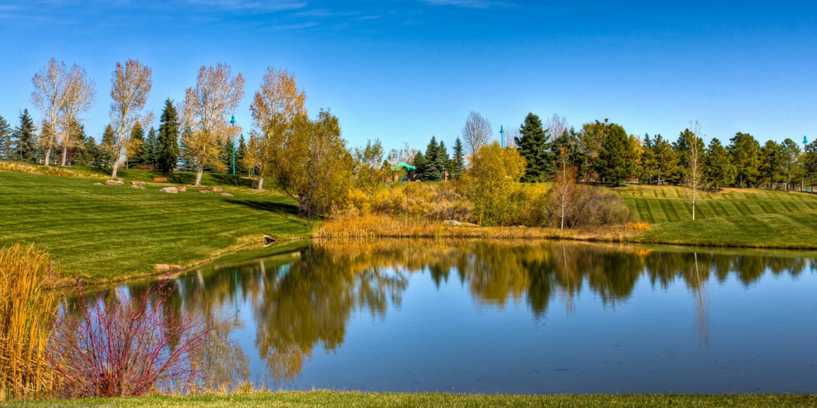 Superior Colorado Purple Park