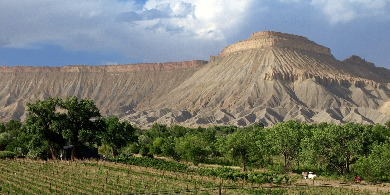 grand valley ava grand junction colorado