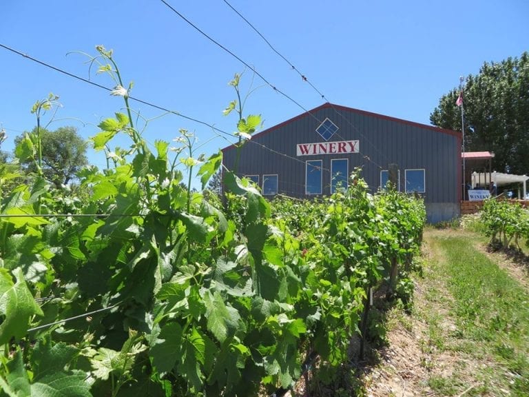 Raise a Toast at Colorado’s Top Wineries