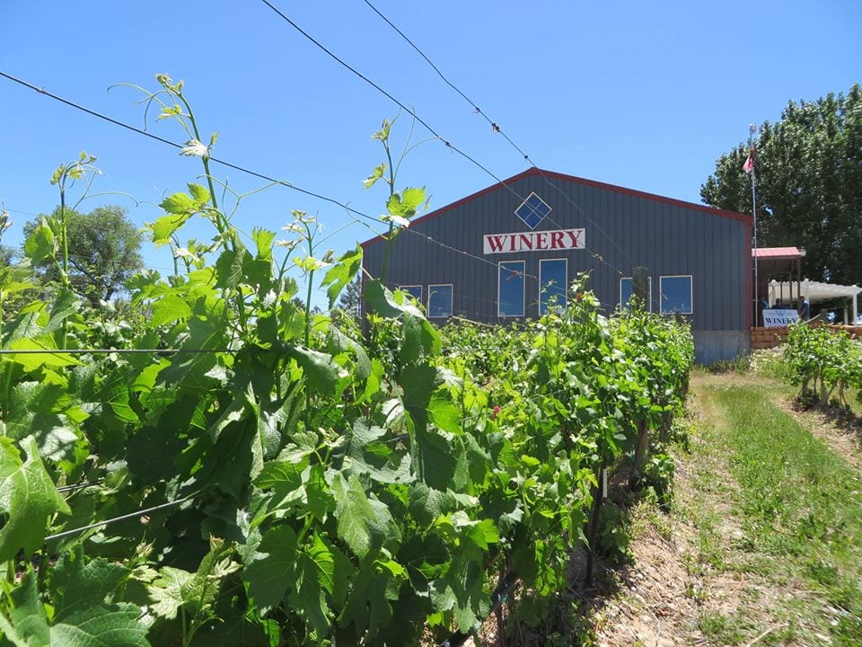 whitewater hill winery, grand jucntion Colorado