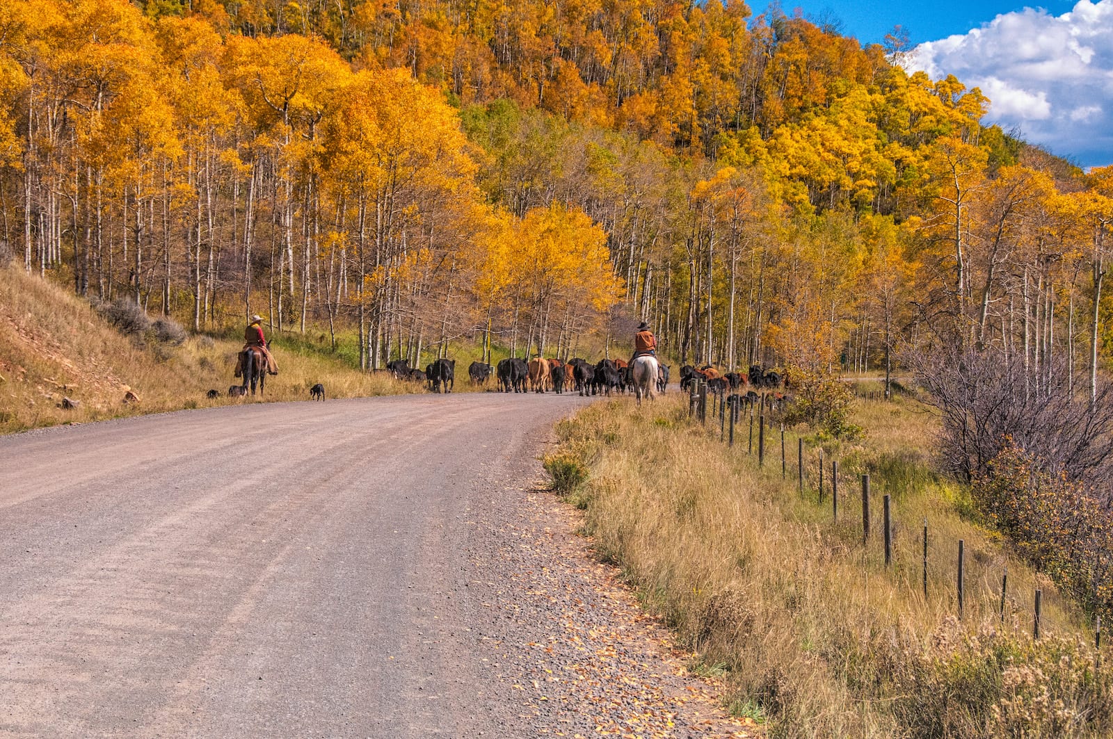 Flat Tops Trail, CO