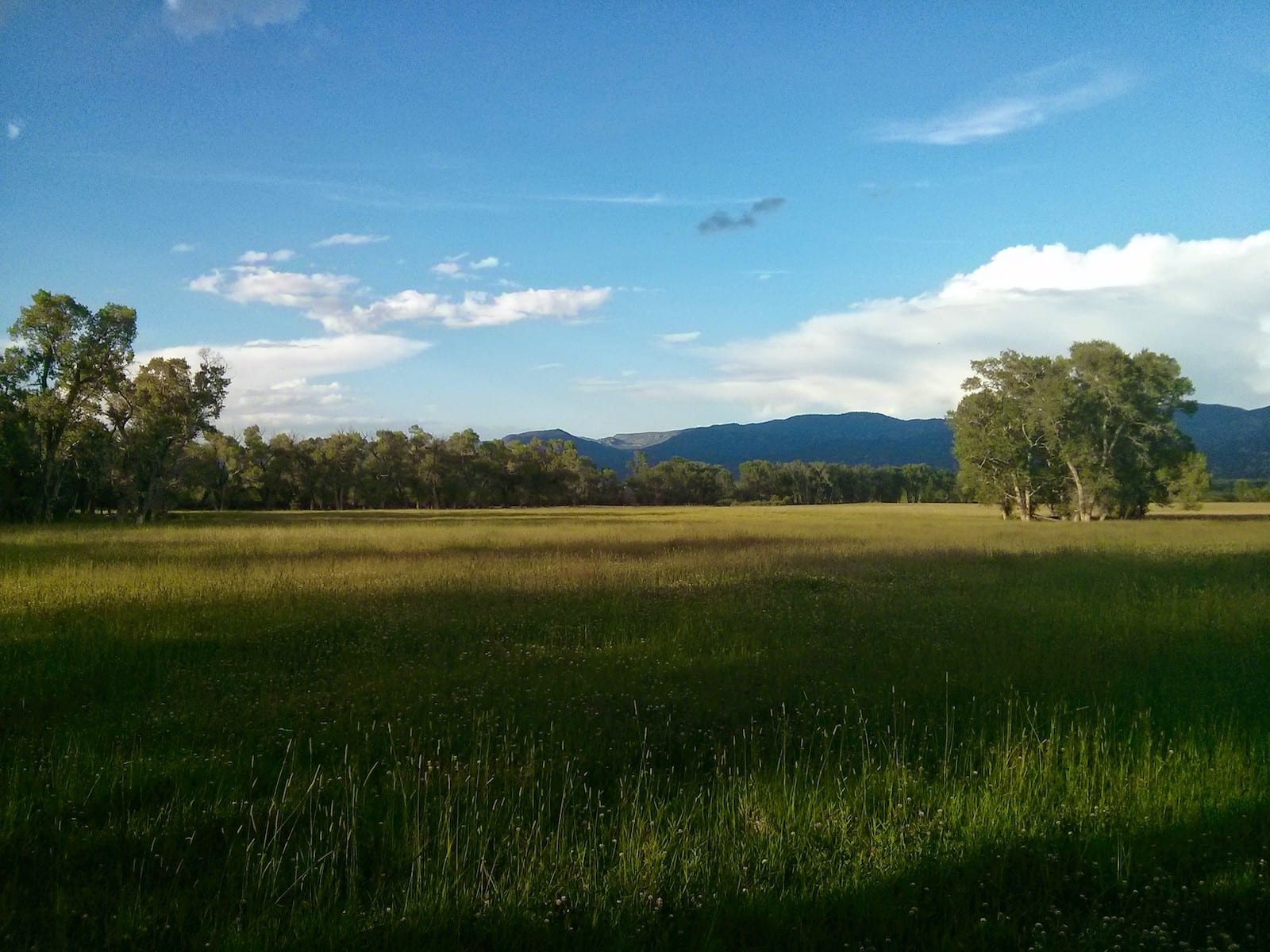 Over the Eastern Pasture, CO