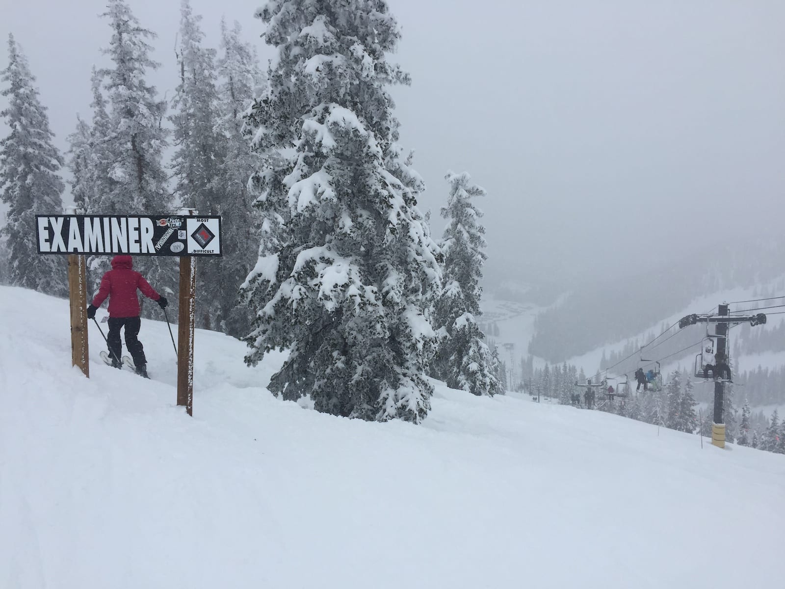 Jalur Ahli Penguji Resor Ski Gunung Monarch