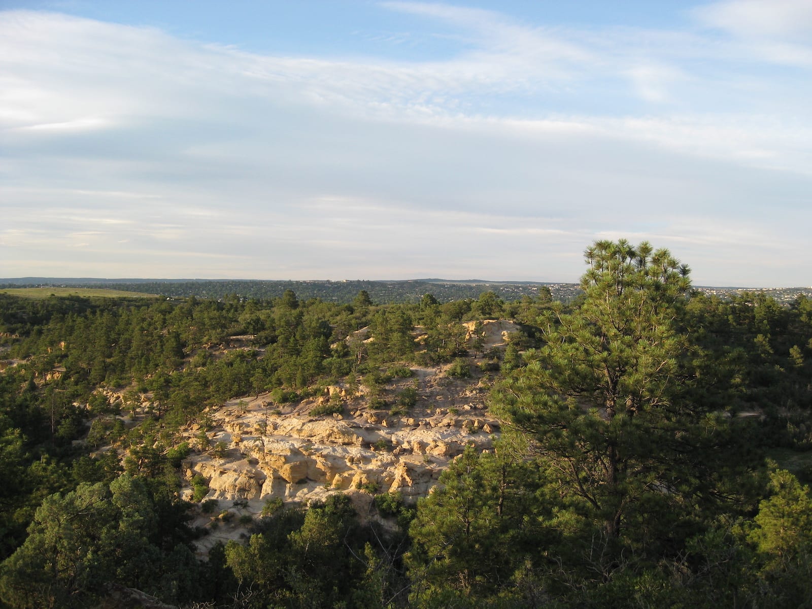 Palmer Park Colorado Springs Grandview Trail Looking North