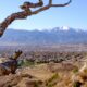 Palmer Park Colorado Springs Free Activity Pikes Peak Background