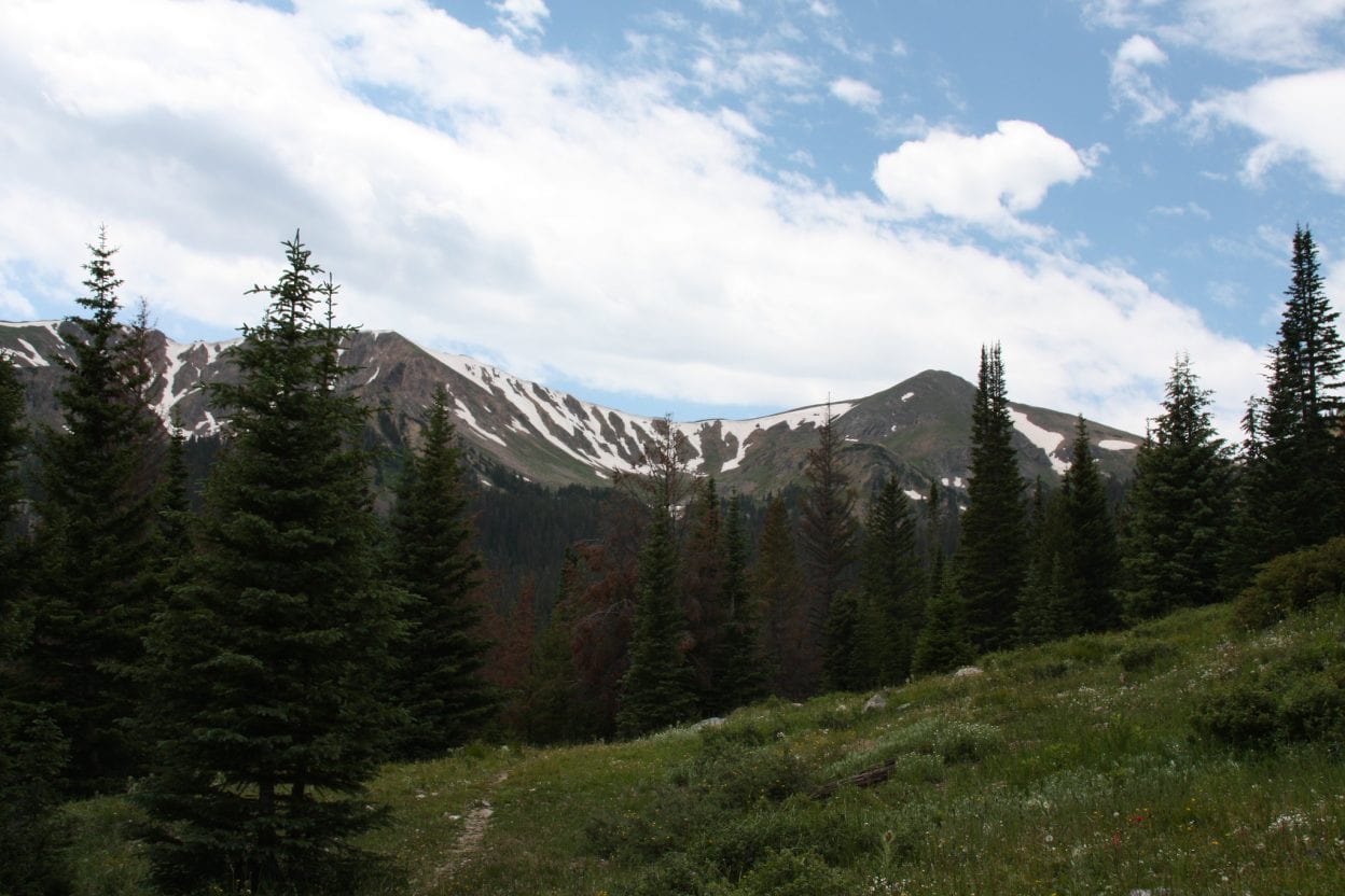 Bowen Gulch along the Continental Divide