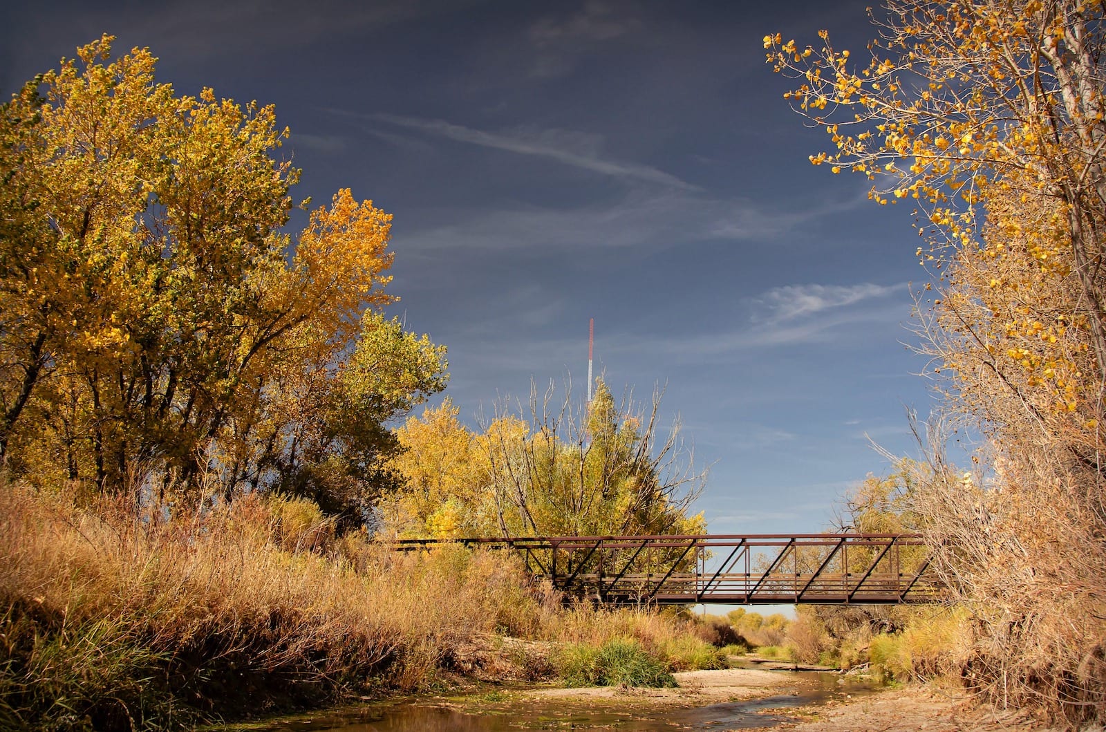 Cherry-Creek-Trail-CO-