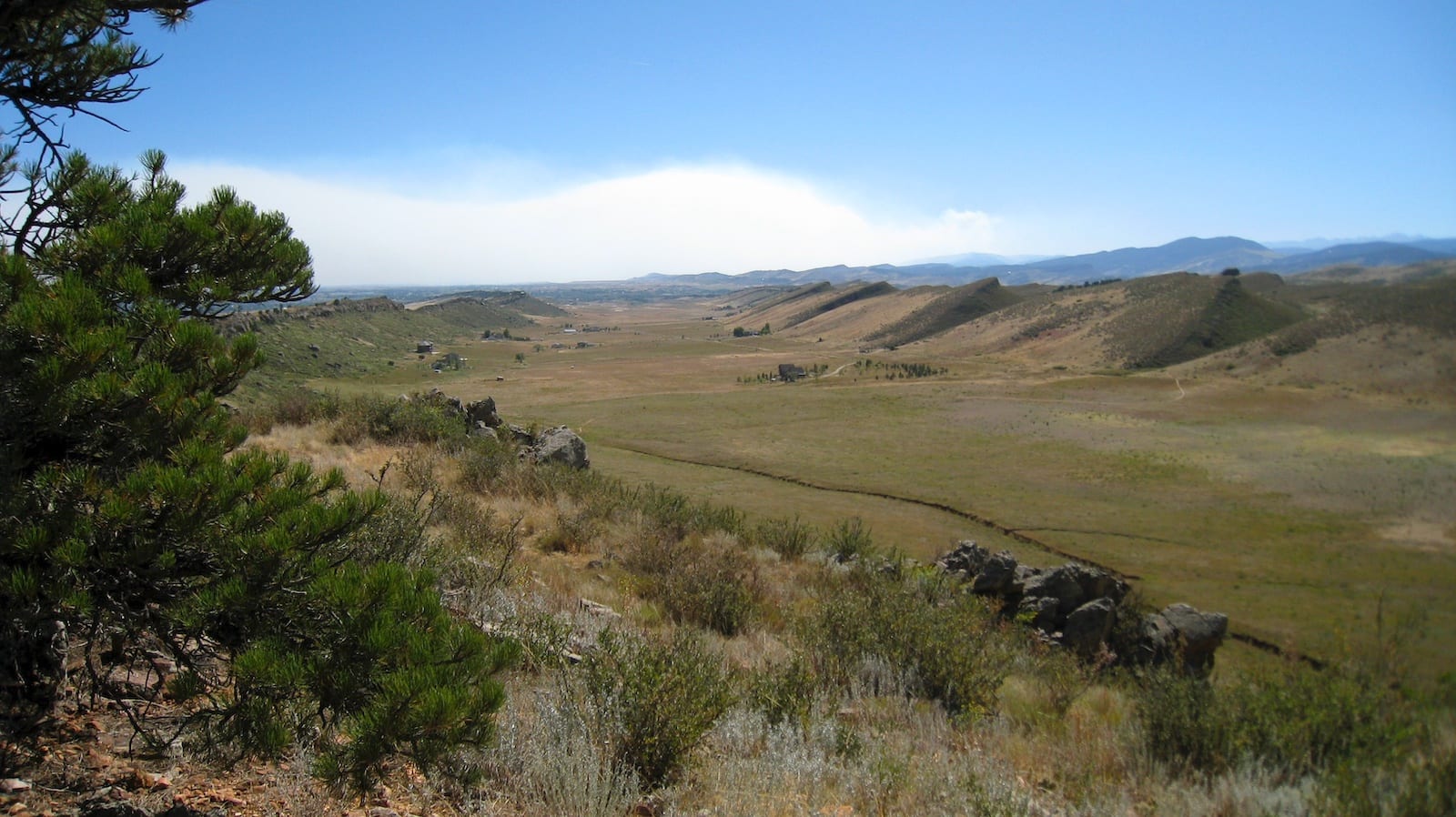 Coyote Ridge Natural Area, CO