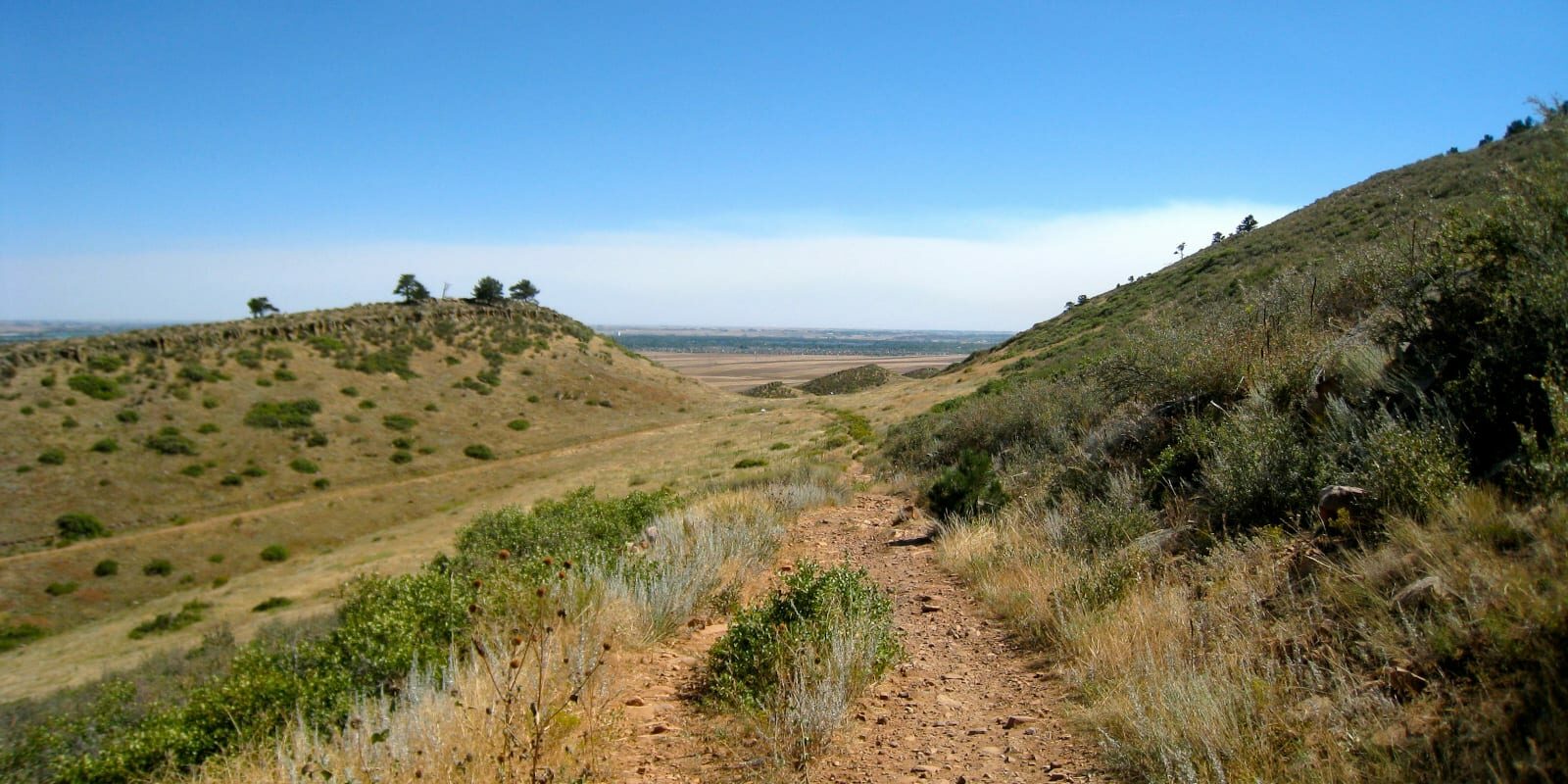 Coyote Ridge Natural Area, CO