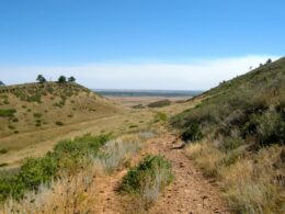 Coyote Ridge Natural Area, CO