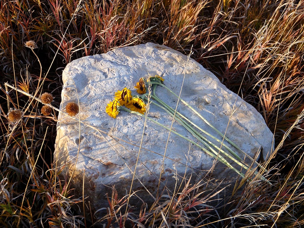 Coyote Ridge Natural Area, CO