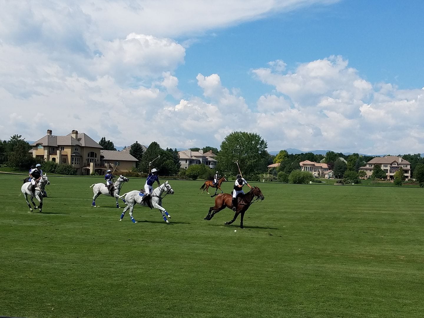 Denver Polo Club, CO