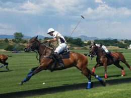 Denver Polo Club, CO