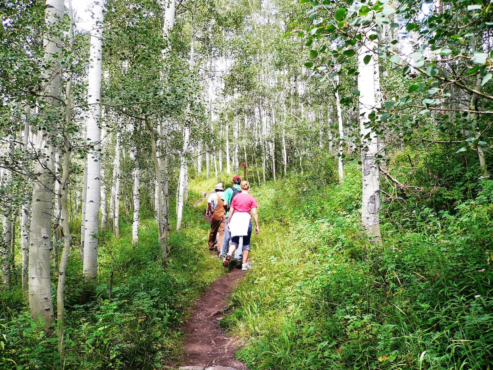 Fulford Cave, CO