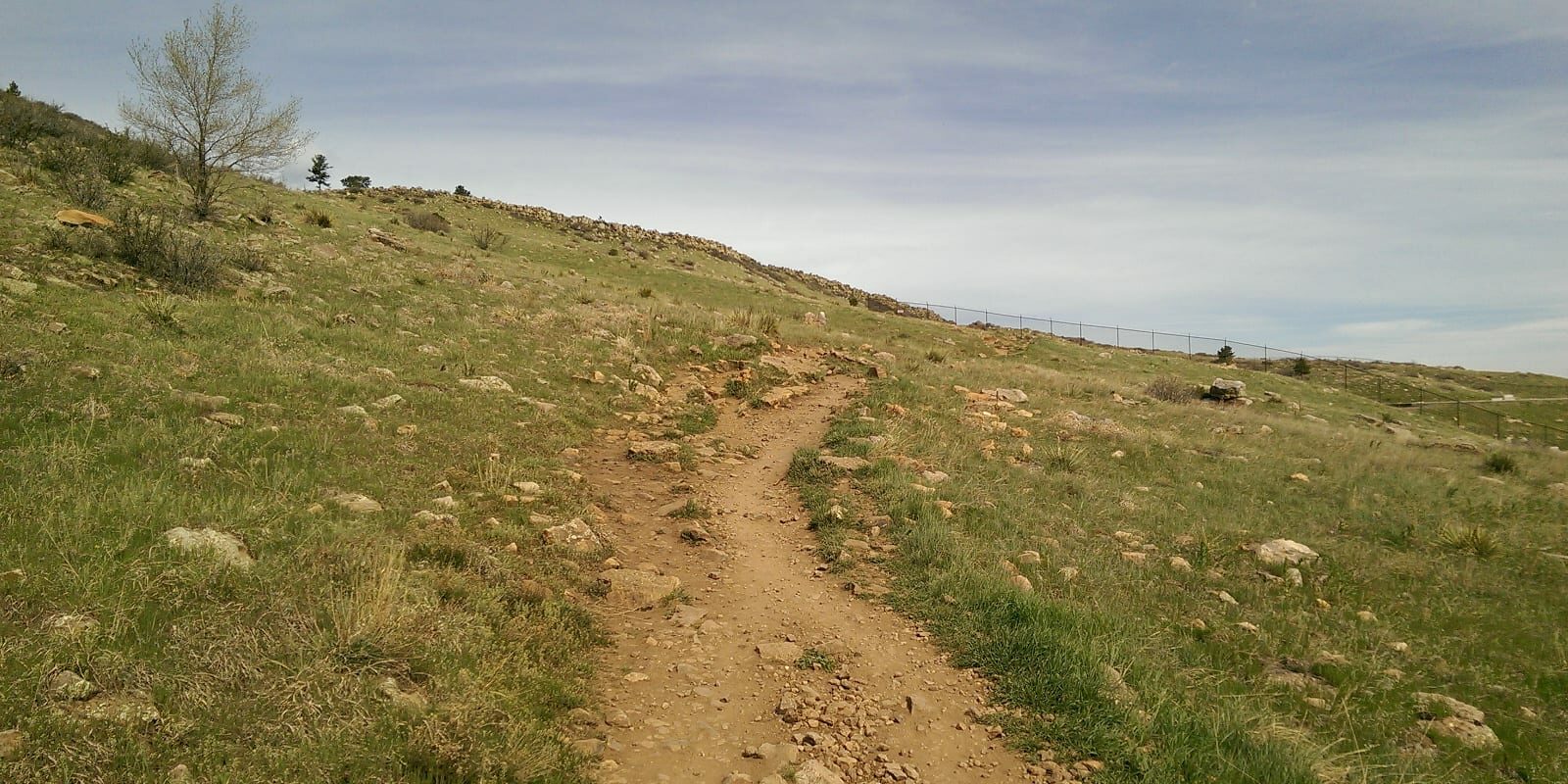 Maxwell Natural Area, CO