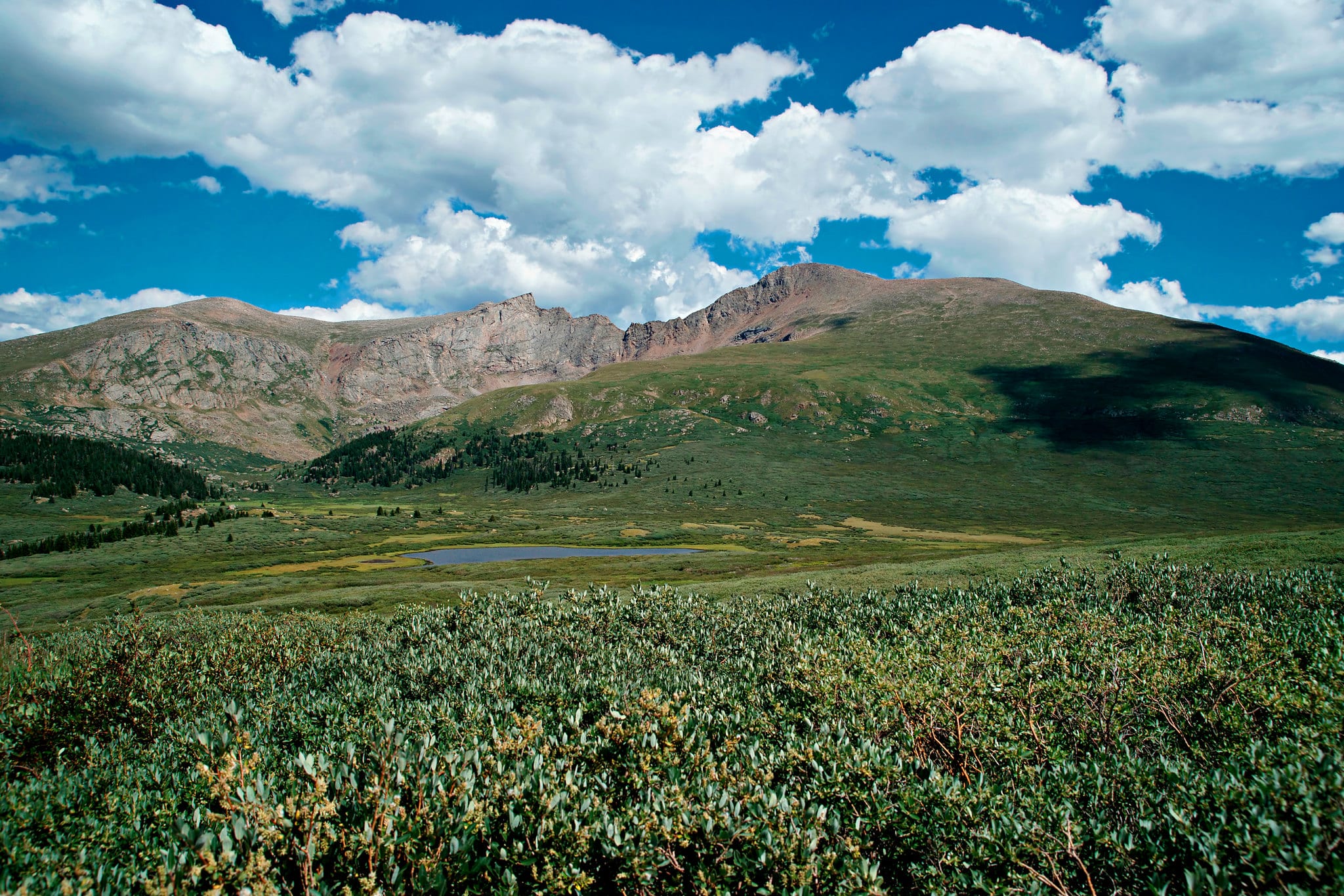 views of mt. bierstadt