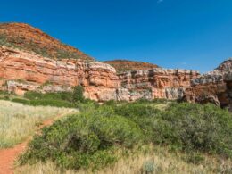 Red Mountain Open Space, CO