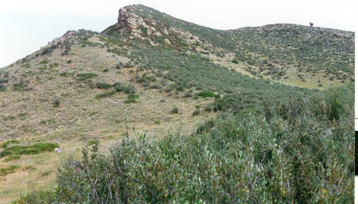 Reservoir Ridge Natural Area, CO