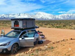 Roofnest, Colorado