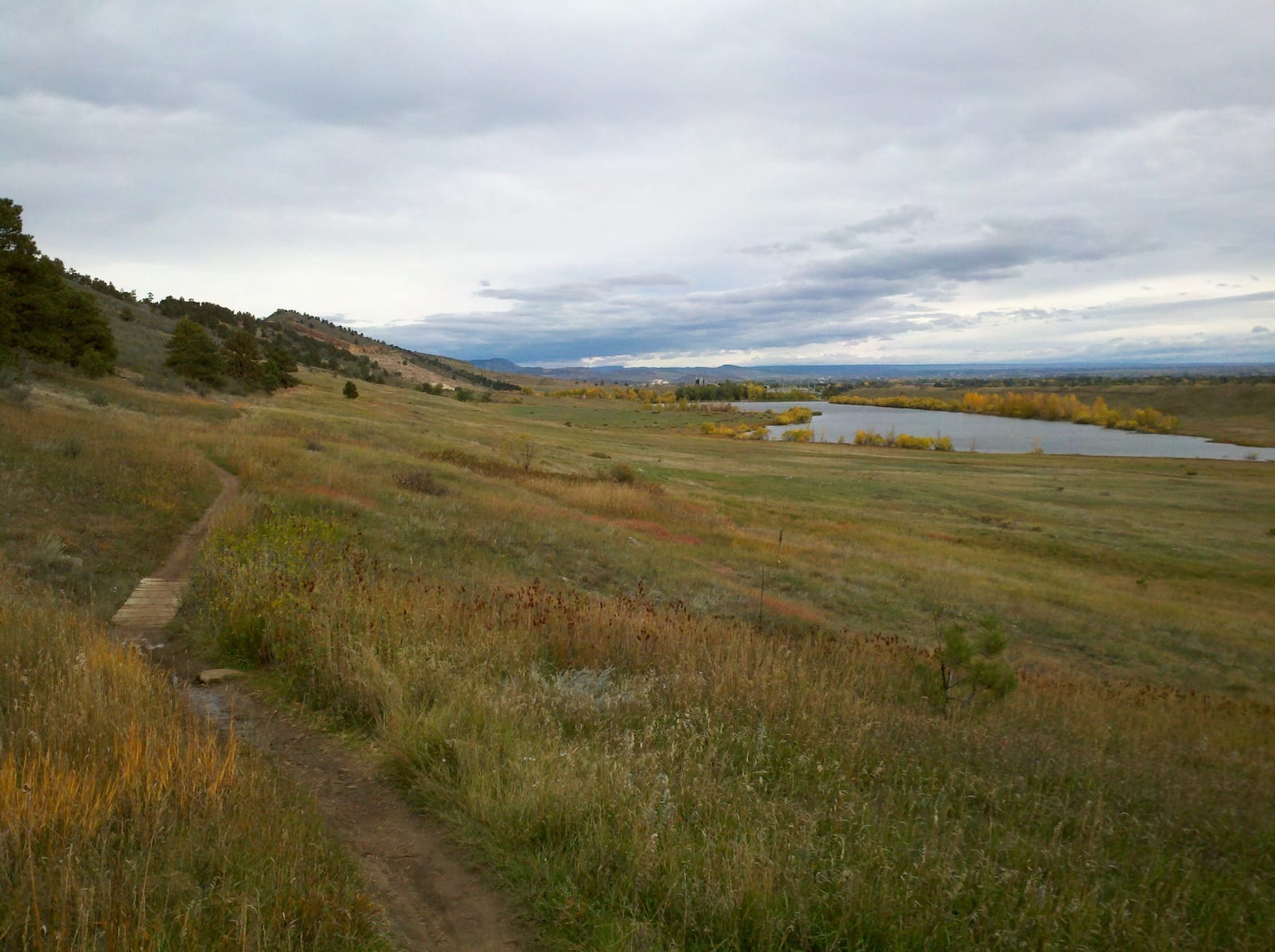 Timber Trail, CO