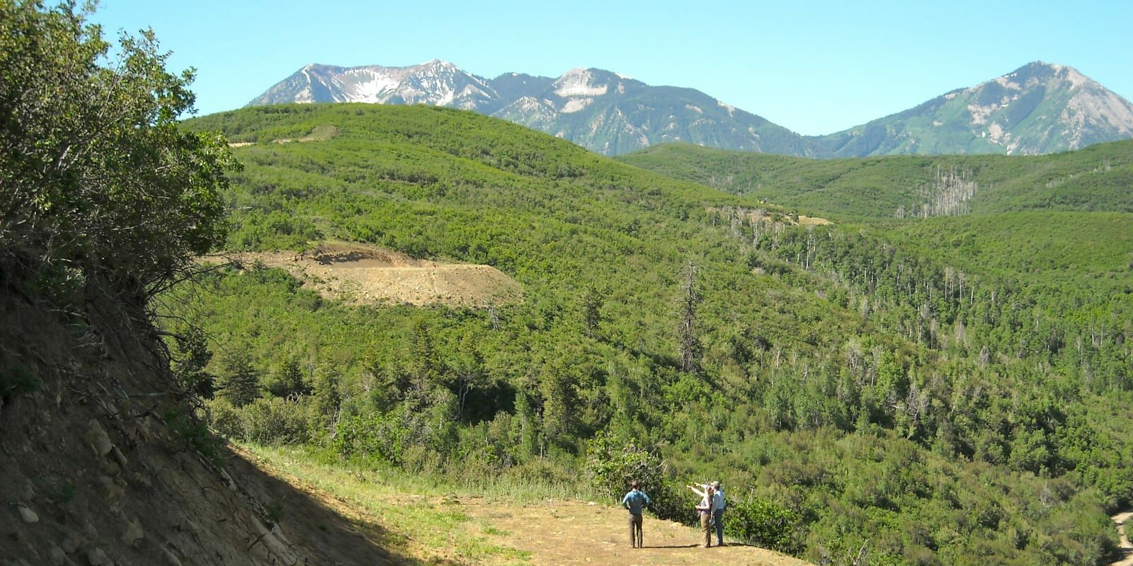 West Elk National Wilderness Area, CO