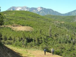 West Elk National Wilderness Area, CO