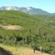 West Elk National Wilderness Area, CO