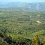 West Elk National Wilderness Area, CO