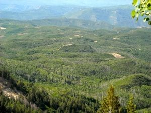 West Elk National Wilderness Area, CO