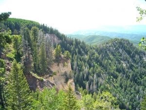 West Elk National Wilderness Area, CO