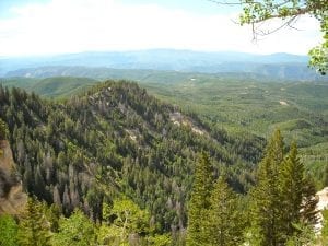 West Elk National Wilderness Area, CO