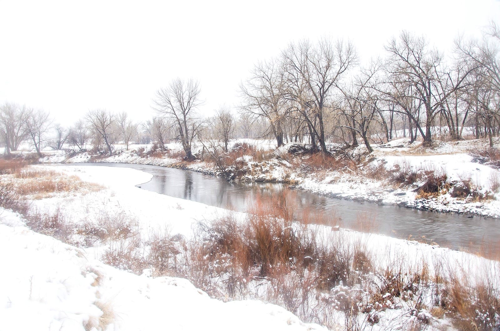 Winter at South Platte River, Co