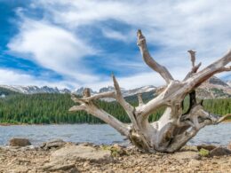 A View of Brainard Lake, CO