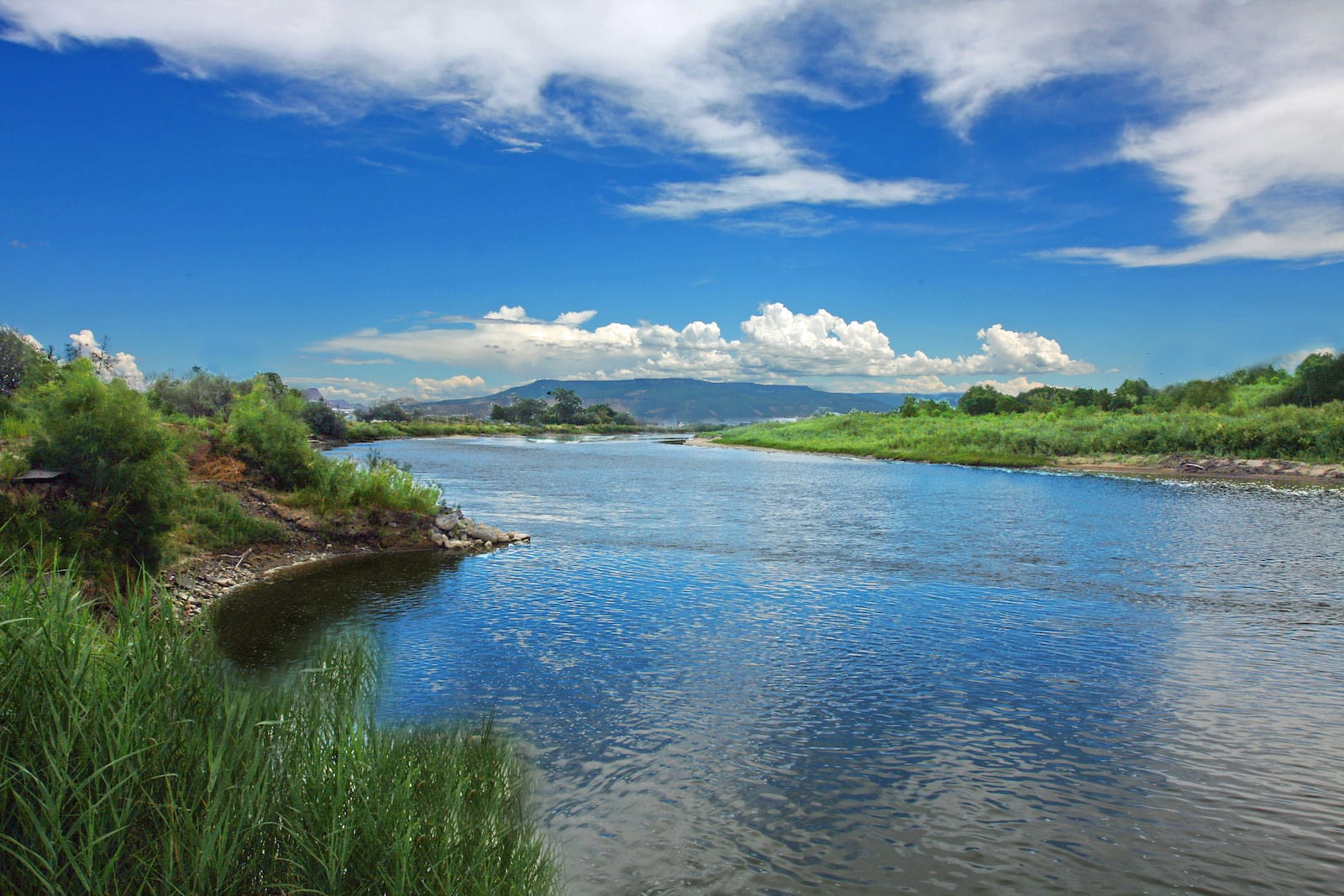 Colorado River in Colorado