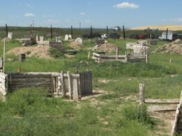 Dynamic Paintball Fun Park, CO