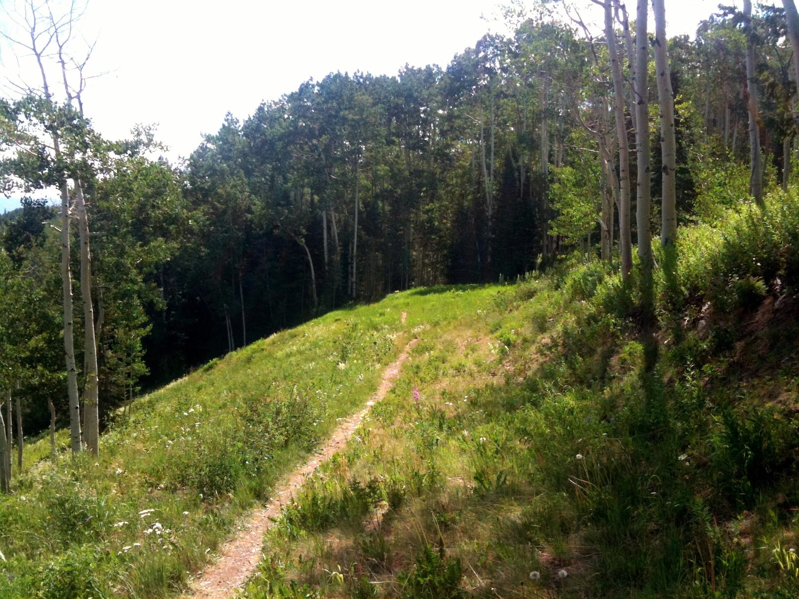 Government Trail in Aspen, Colorado