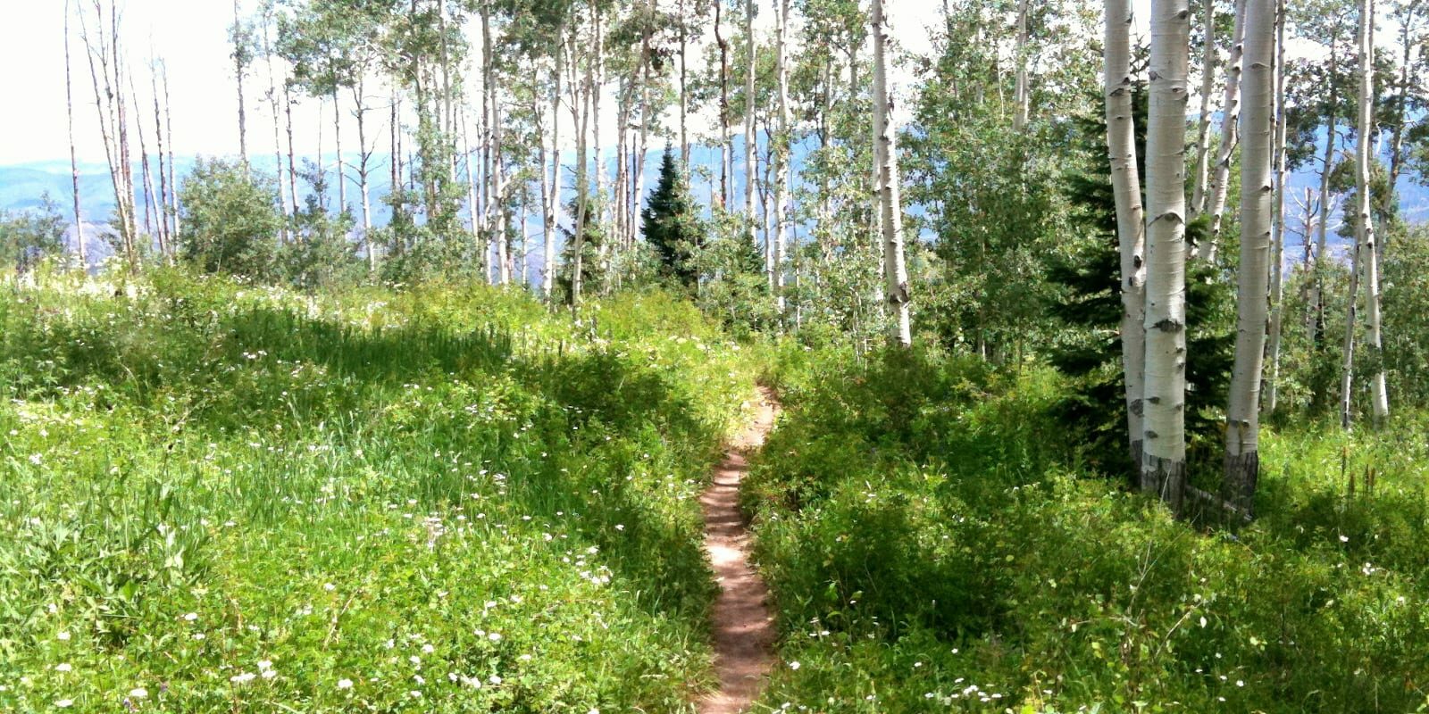 Government Trail in Aspen, Colorado