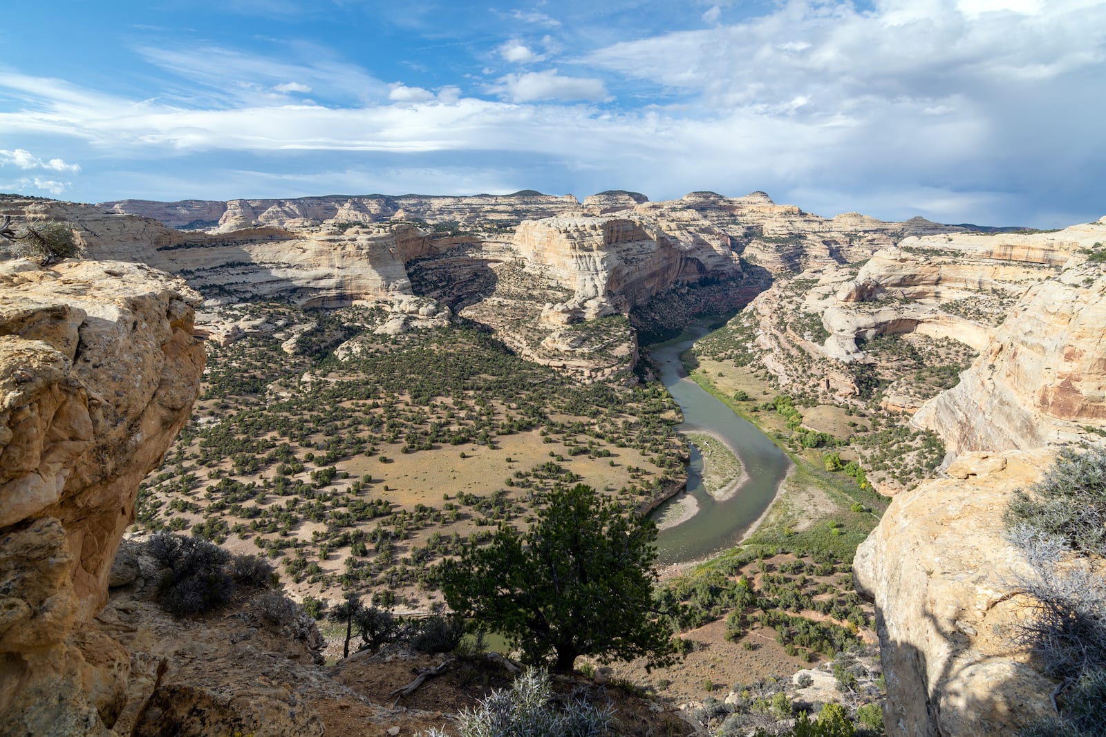 Green River in Dinosaur National Monument, CO