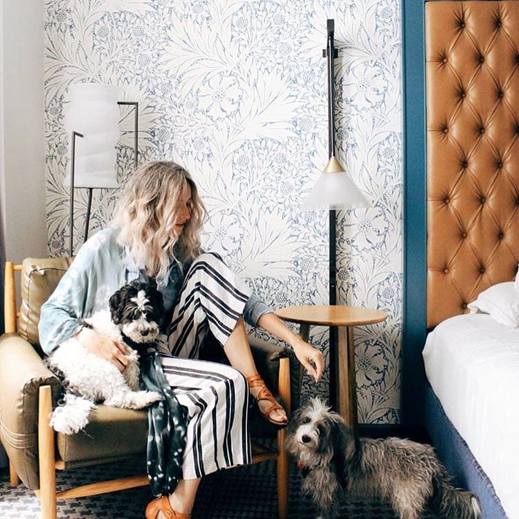 Your pet stays free at Kimpton Hotel Monaco Denver, CO