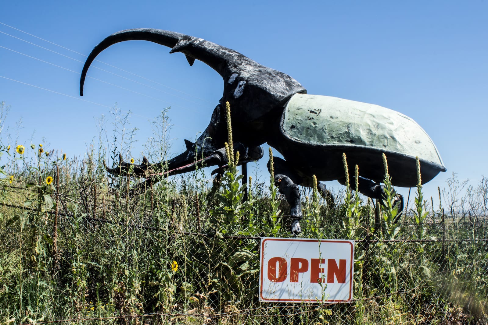 May Natural History Museum in Colorado Springs