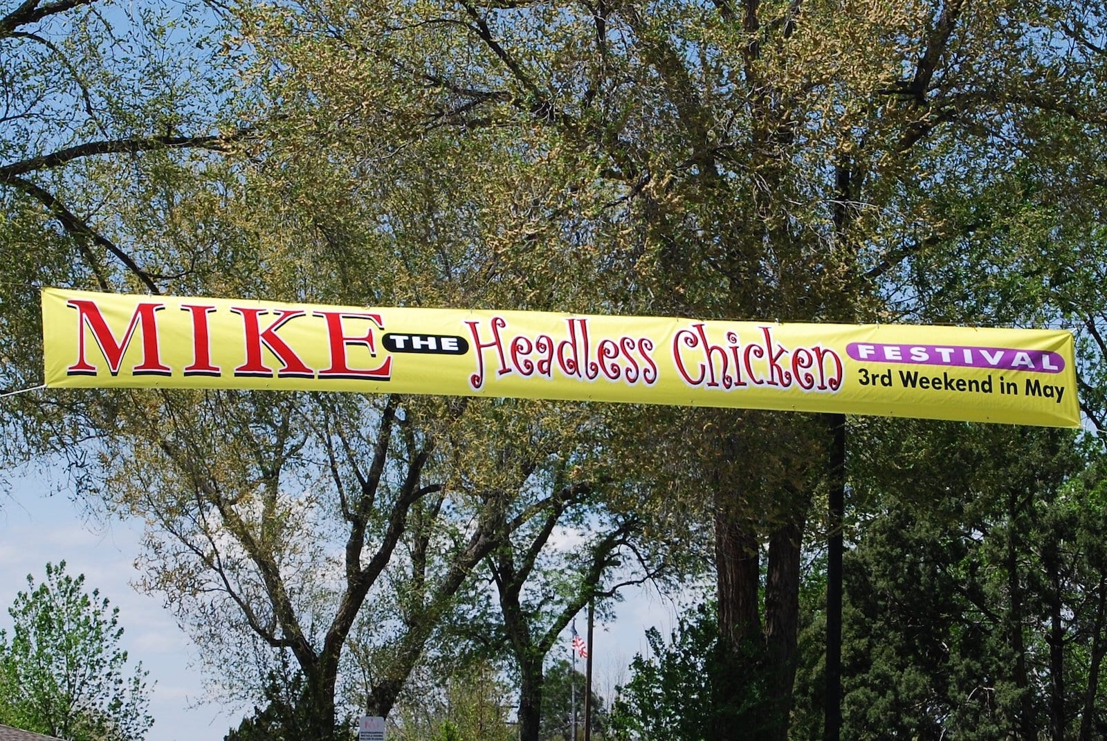 Mike the Headless Chicken Festival, CO
