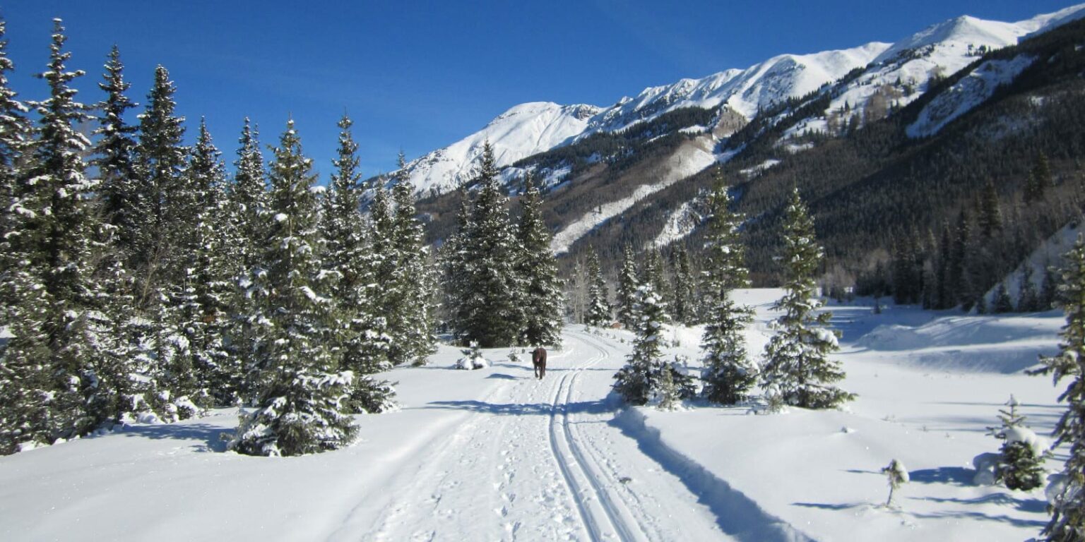 Ouray County Nordic Council Cross Country Ski Trails in Ouray, CO