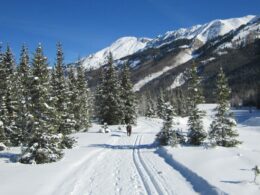 Ouray County Nordic Council, CO