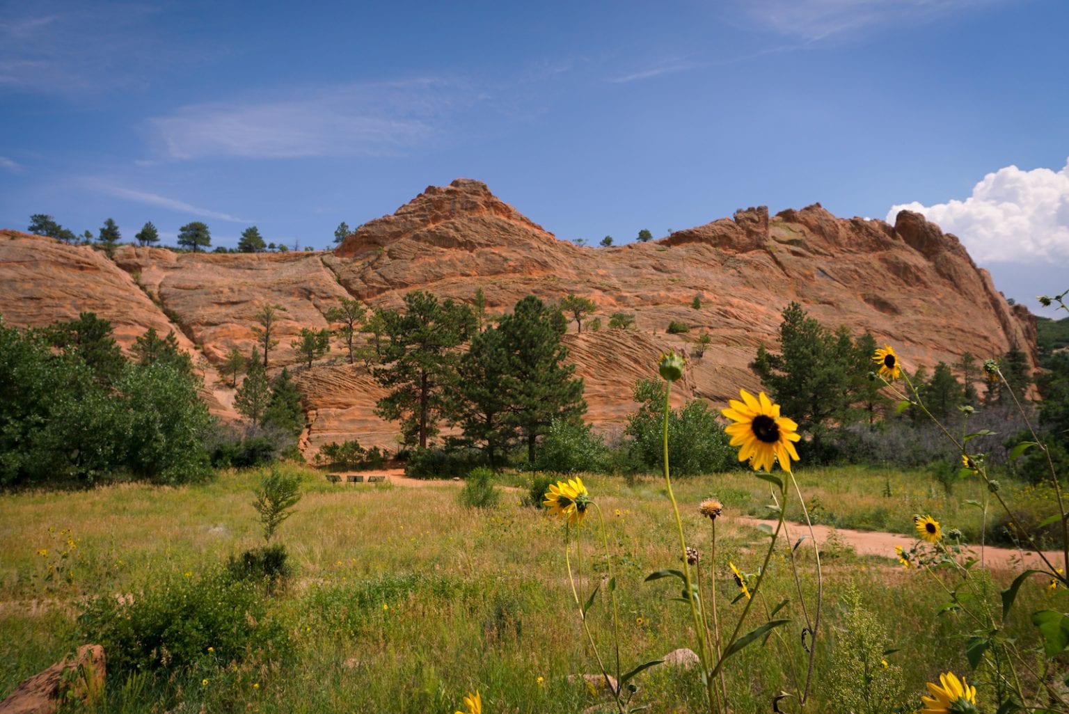 Red Rock Canyon Open Space Colorado Springs, CO Uncover Colorado