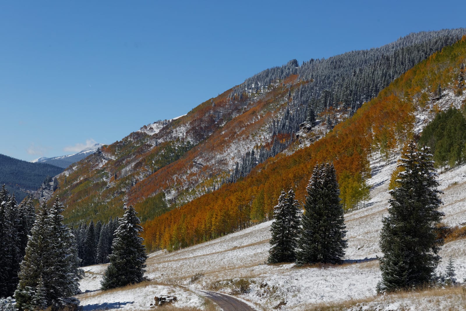 Shrine Pass Road, CO