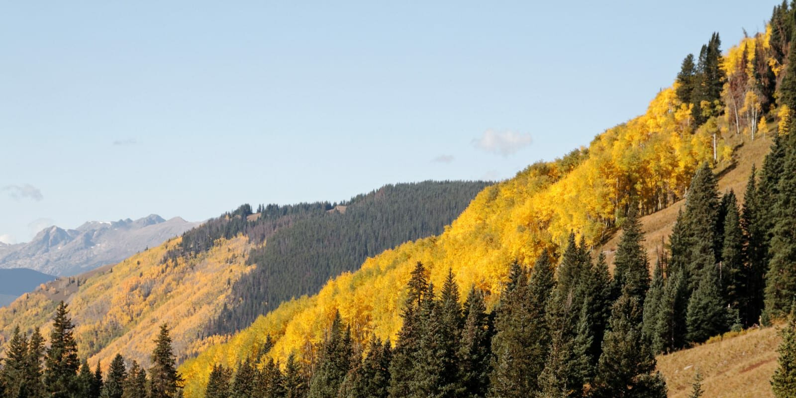 Shrine Pass Road, CO