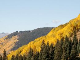 Shrine Pass Road, CO