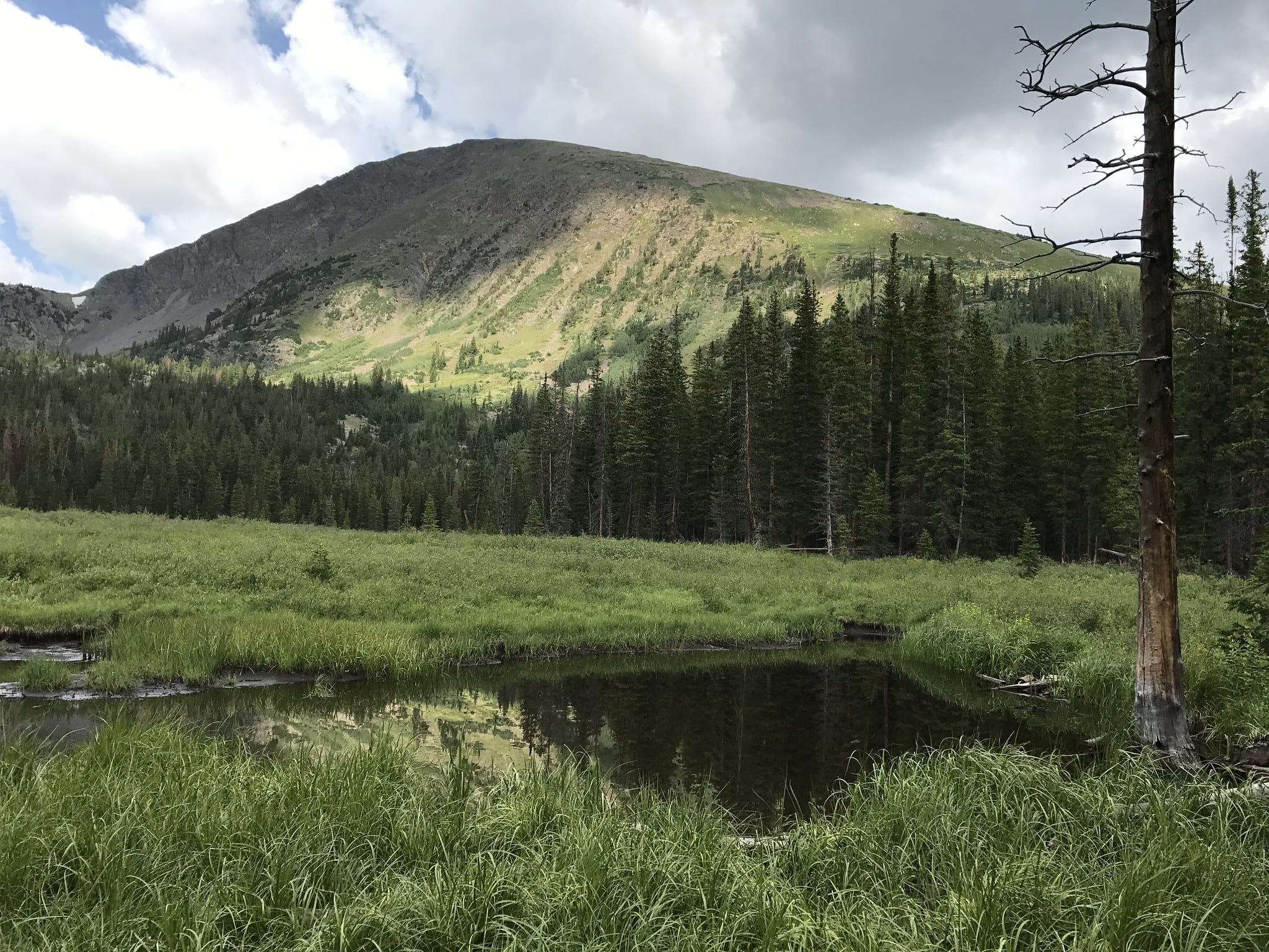 spruce creek trail breckenridge