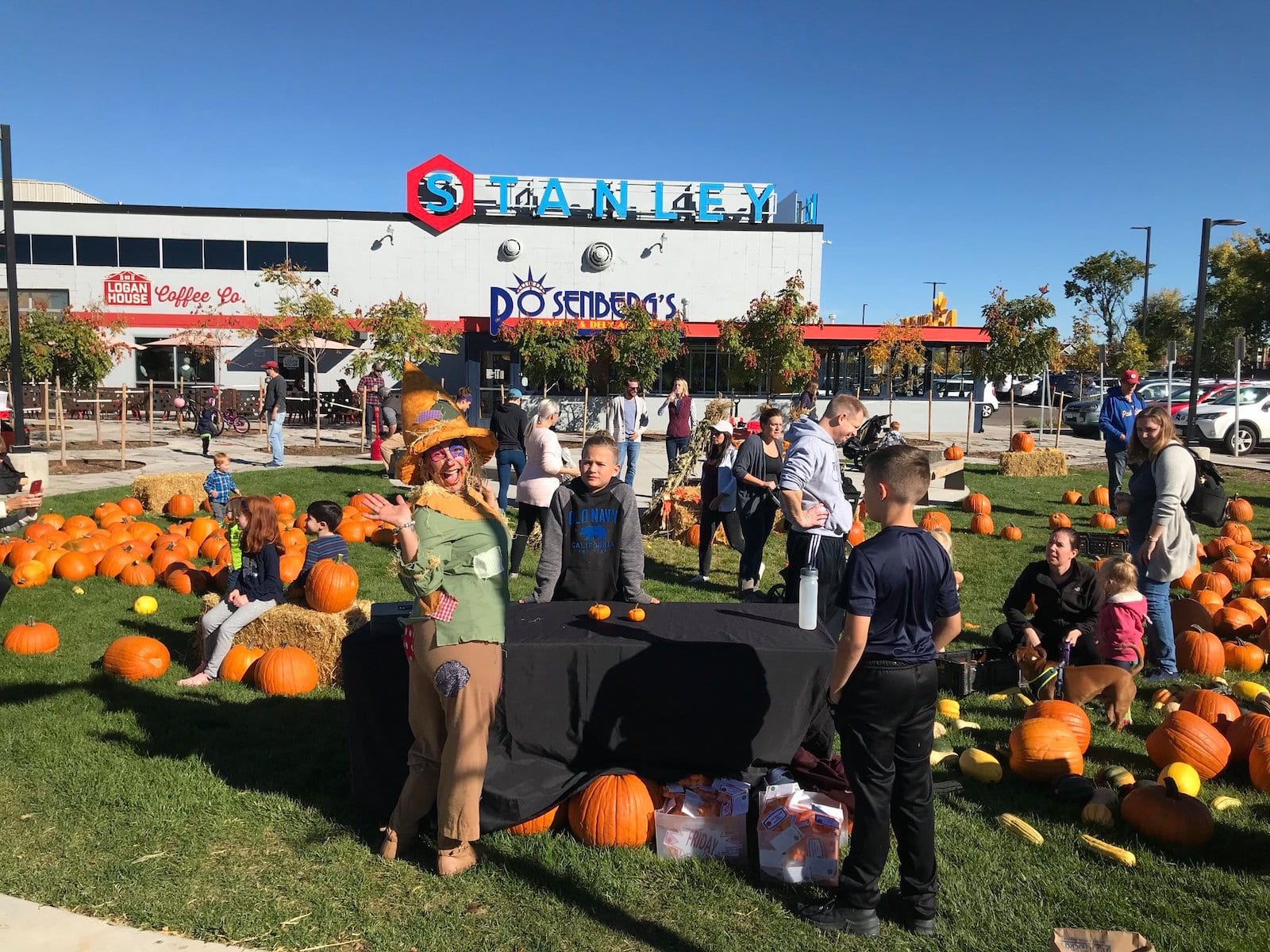 Stanley Marketplace Pumpkin Patch, CO